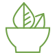 natural-icon